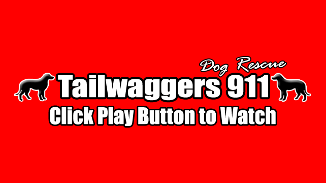 Tailwaggers 911